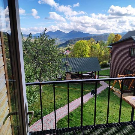 Cottage Panorama Karpat Volosyanka  Buitenkant foto