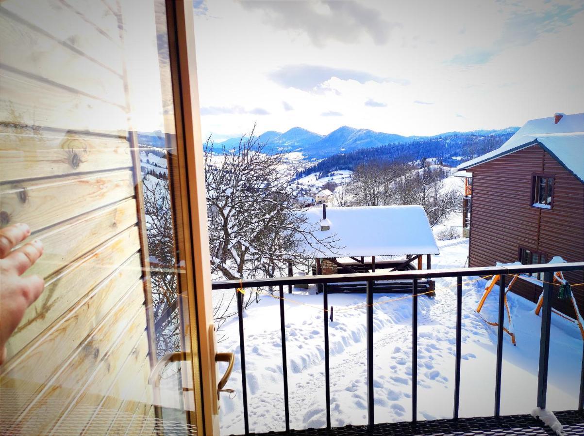 Cottage Panorama Karpat Volosyanka  Buitenkant foto