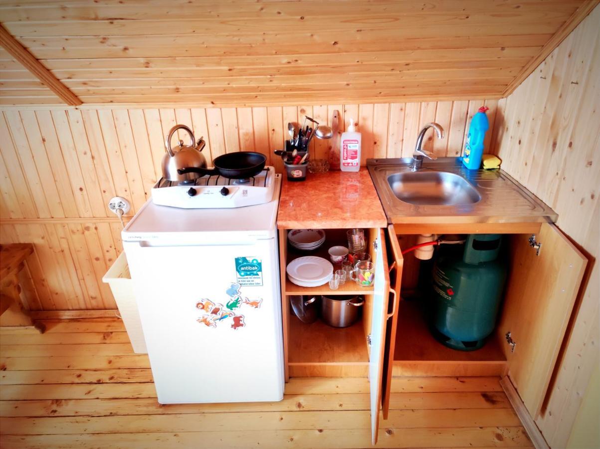 Cottage Panorama Karpat Volosyanka  Buitenkant foto
