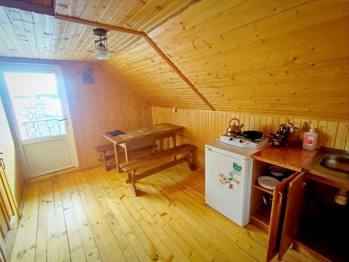 Cottage Panorama Karpat Volosyanka  Buitenkant foto
